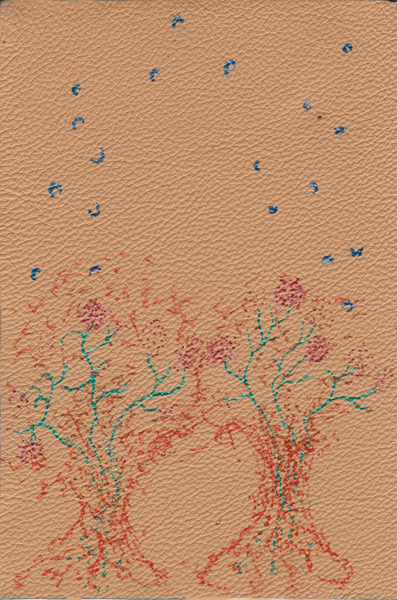 2009-2-22 Nora Goll 1