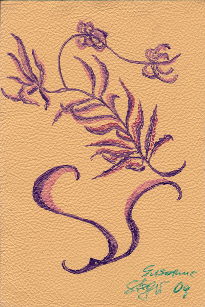 2009-2-22 Susanne Steger 2