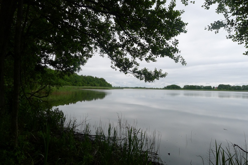 Kurische Nehrung Chayka See