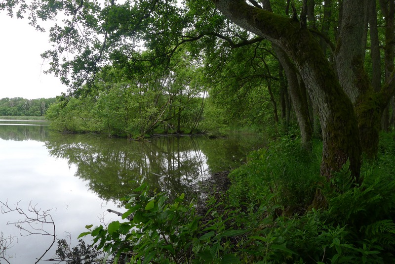 Kurische Nehrung Chayka See