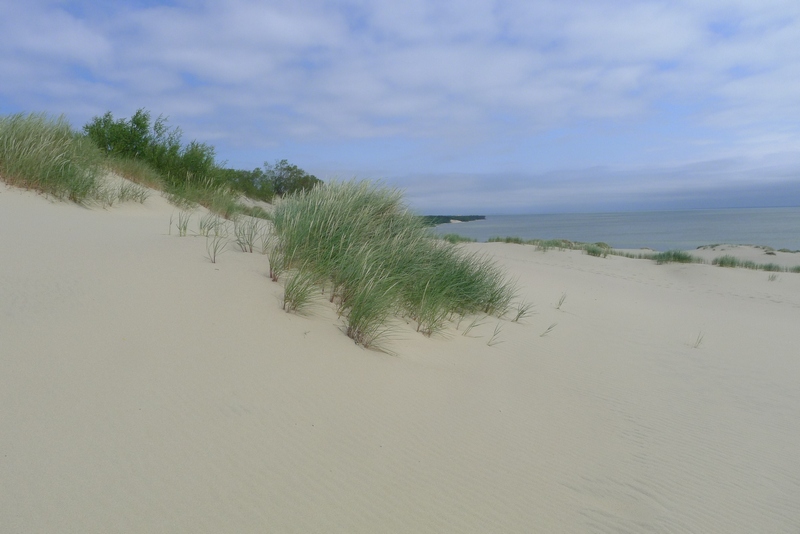 Kurische Nehrung / Haff : Dünen