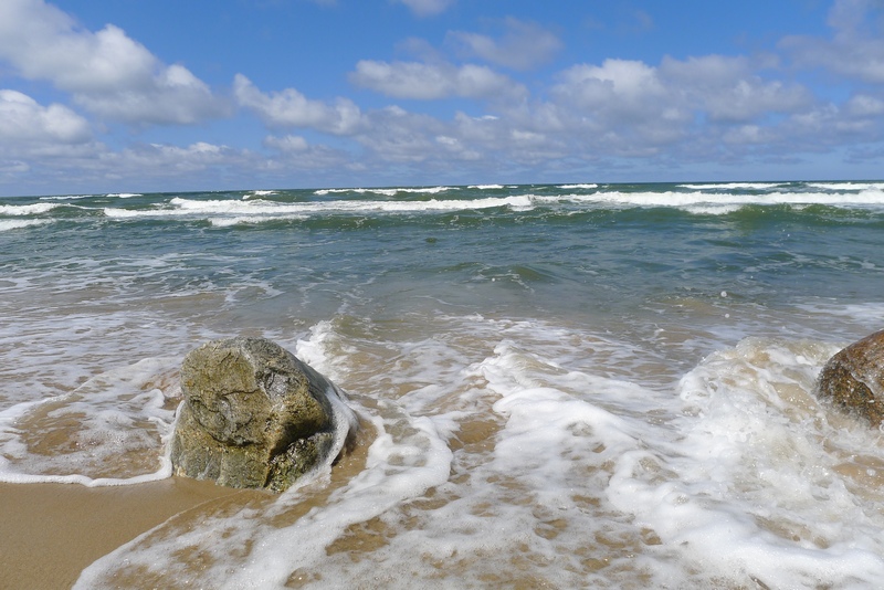 светлогоск