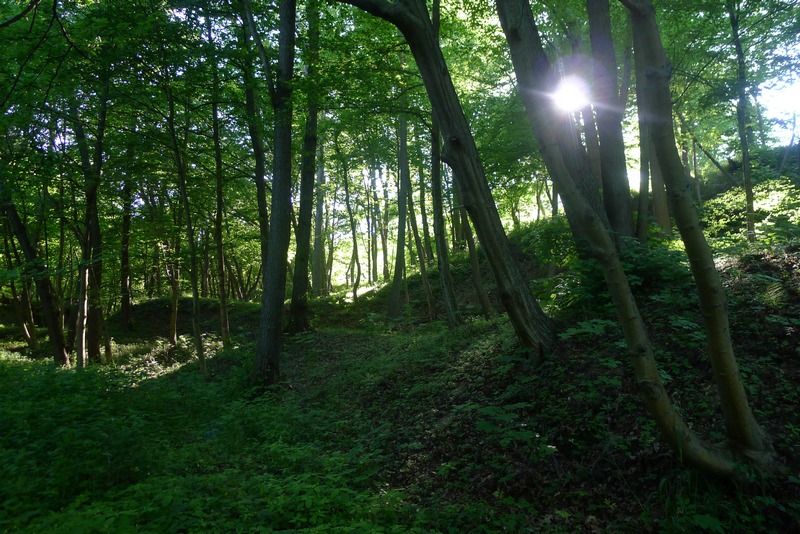 Ostsee светлогорск