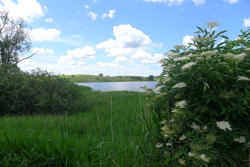 Auf dem Weg zum Naturpark Vishtynetsky виштынецкий: