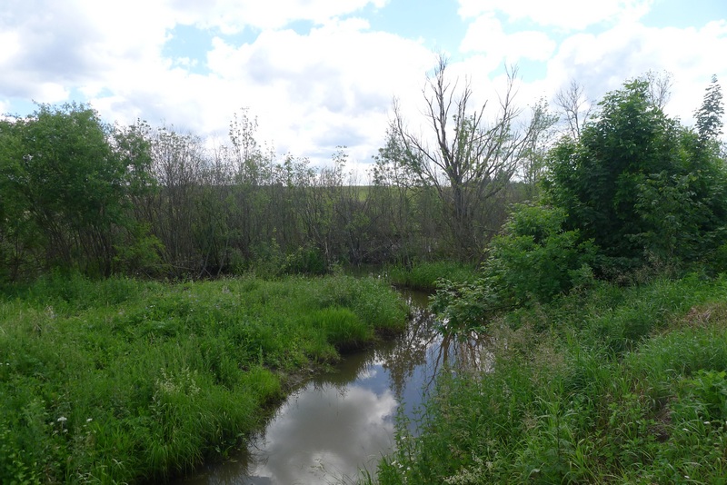 Auf dem Weg zum Naturpark Vishtynetsky виштынецкий: