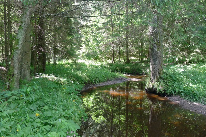 Naturpark Vishtynetsky виштынецкий: