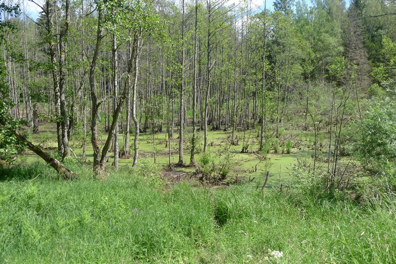 Naturpark Vishtynetsky виштынецкий