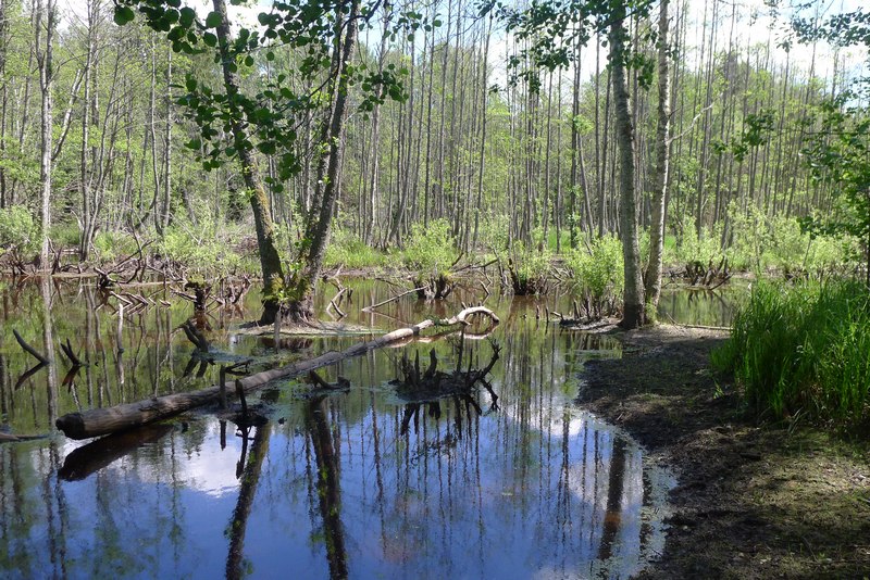 Naturpark Vishtynetsky виштынецкий