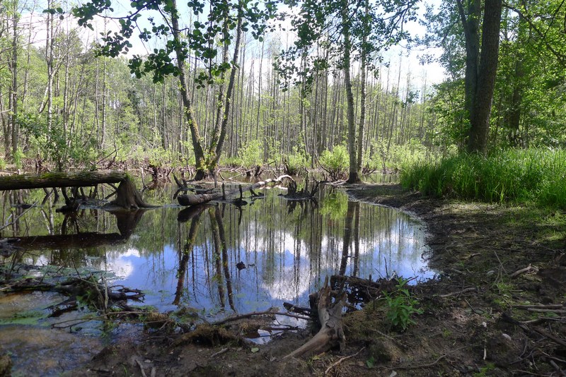 Naturpark Vishtynetsky виштынецкий
